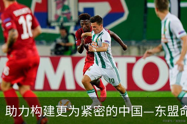 助力构建更为紧密的中国—东盟命运共同体