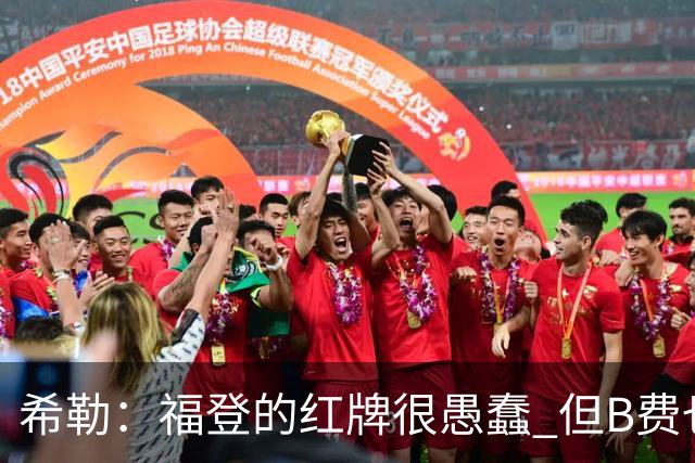 希勒：福登的红牌很愚蠢 但B费也应该被红牌罚下，如果罚就都得罚